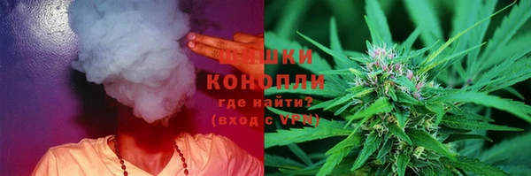 прущий лед Бородино