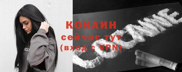 прущий лед Бородино