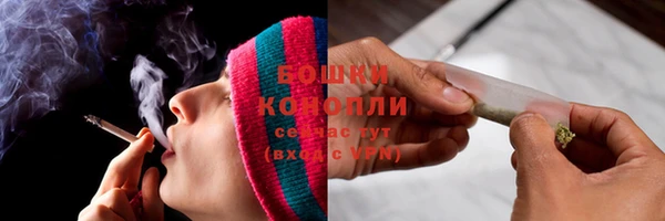 прущий лед Бородино